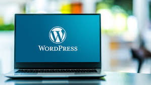 kosten webdesigner