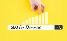 seo voor dummies