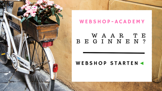 webshop bouwen kosten