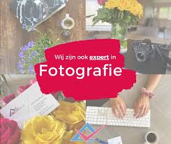 dst webdesign