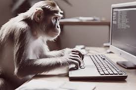 monkey webdesign