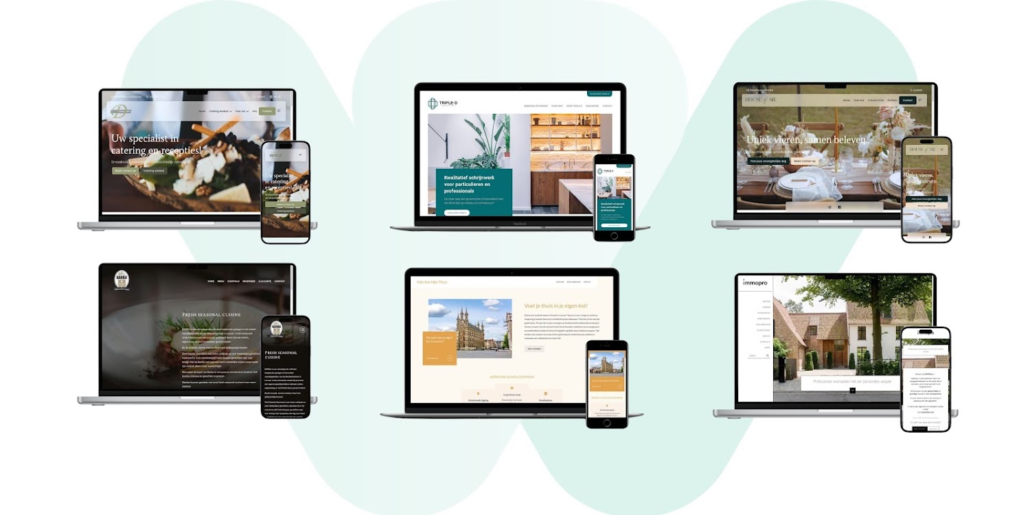 een professionele website